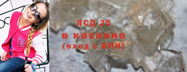 PSILOCYBIN Абаза