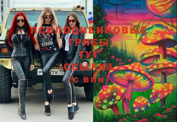 тгк Абинск