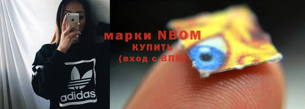 PSILOCYBIN Абаза