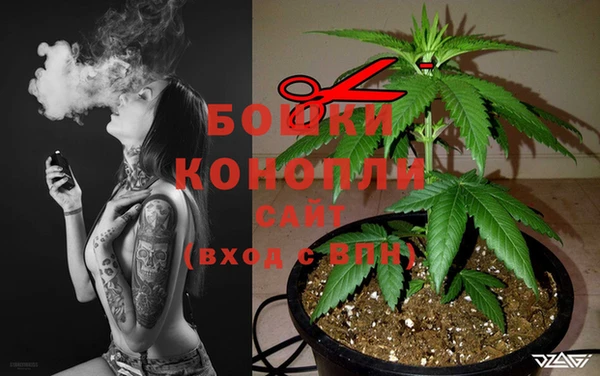 PSILOCYBIN Абаза