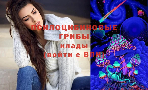 PSILOCYBIN Абаза
