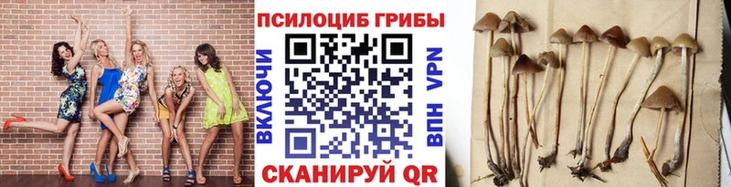 Псилоцибиновые грибы Magic Shrooms  Катайск 