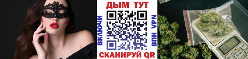 hydra как войти  Катайск  Конопля план 